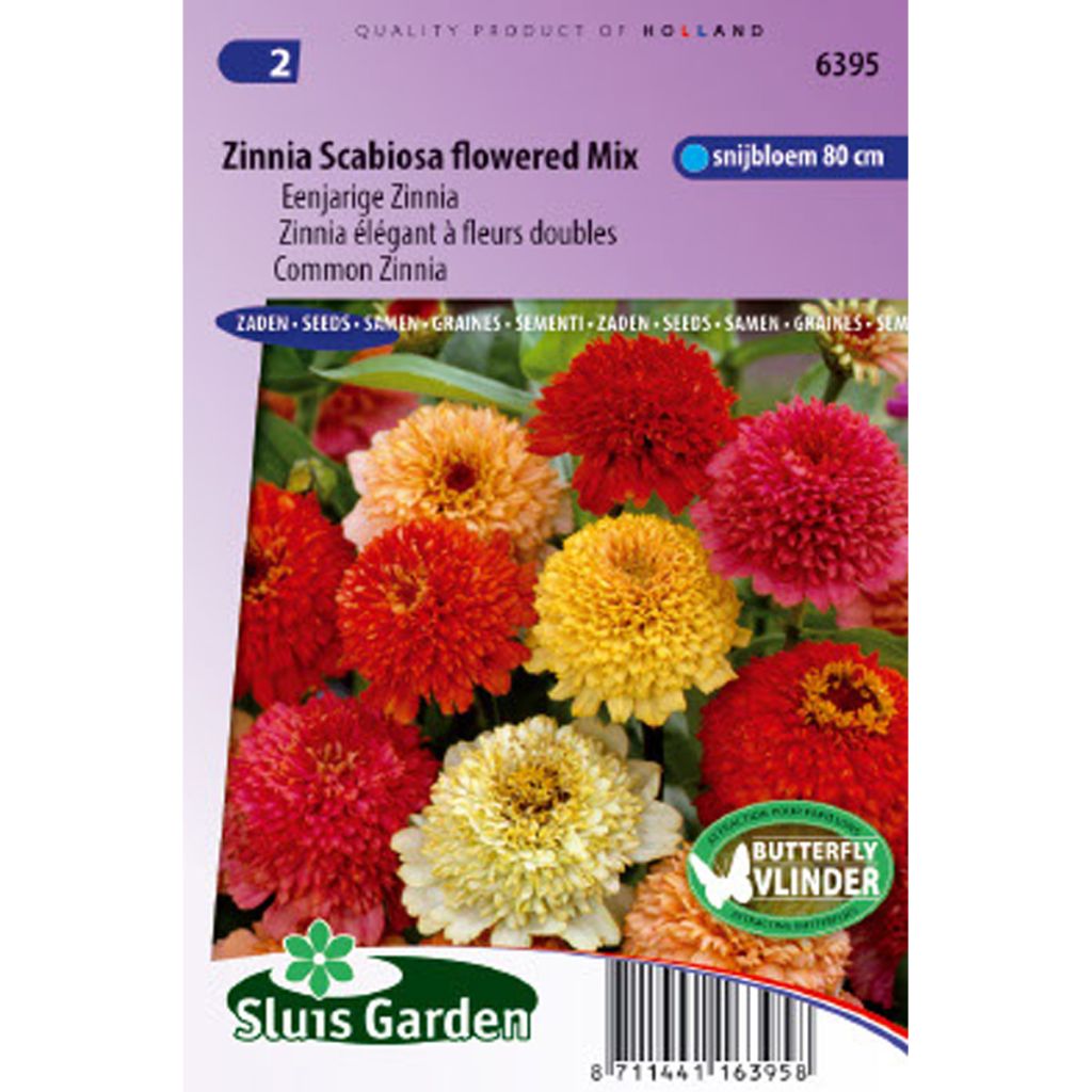 Zinnia à fleur de Scabieuses en mélange - Zinnia elegans Scabiosa Flowered Mix