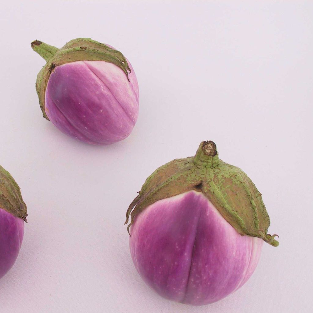 Melanzana Aubergine Rotonda Bianca Sfumata Di Rosa