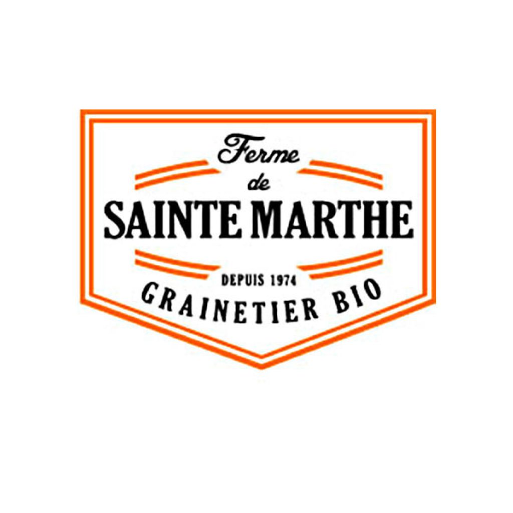 Carotte Blanche de Küttingen Bio - Ferme de Sainte Marthe