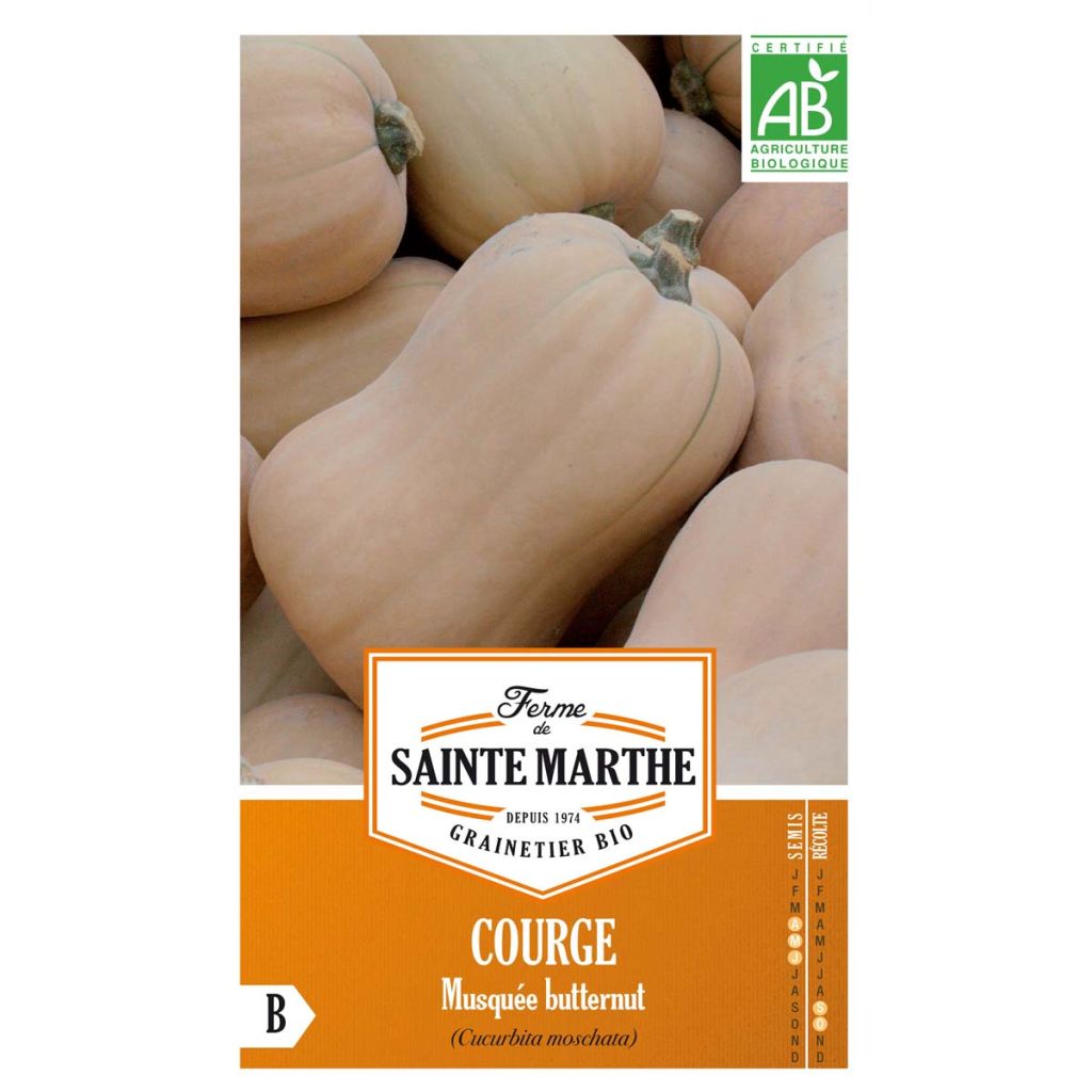 Zucca moscata Butternut Bio - Ferme de Sainte Marthe