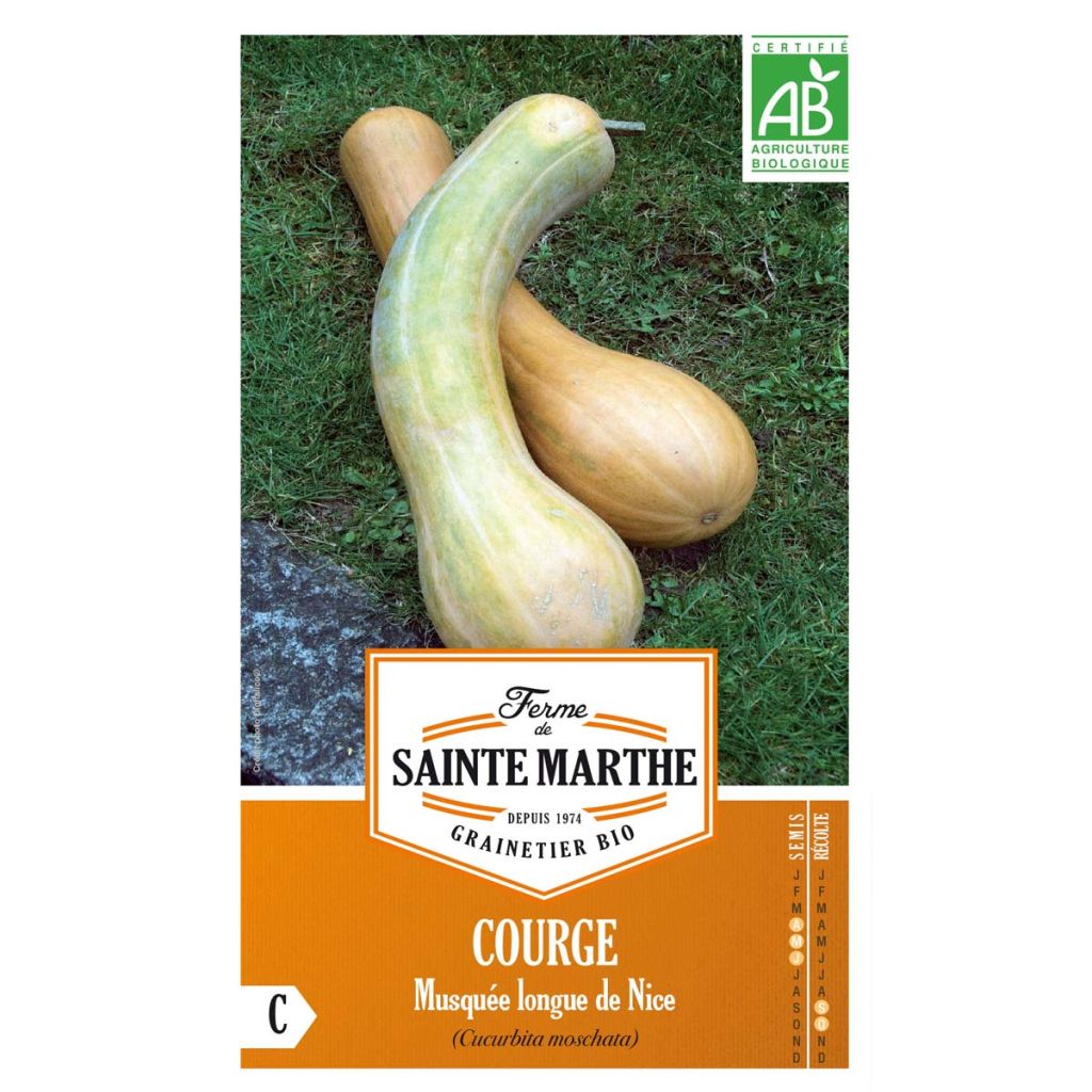 Zucca moscata Lunga di Nizza