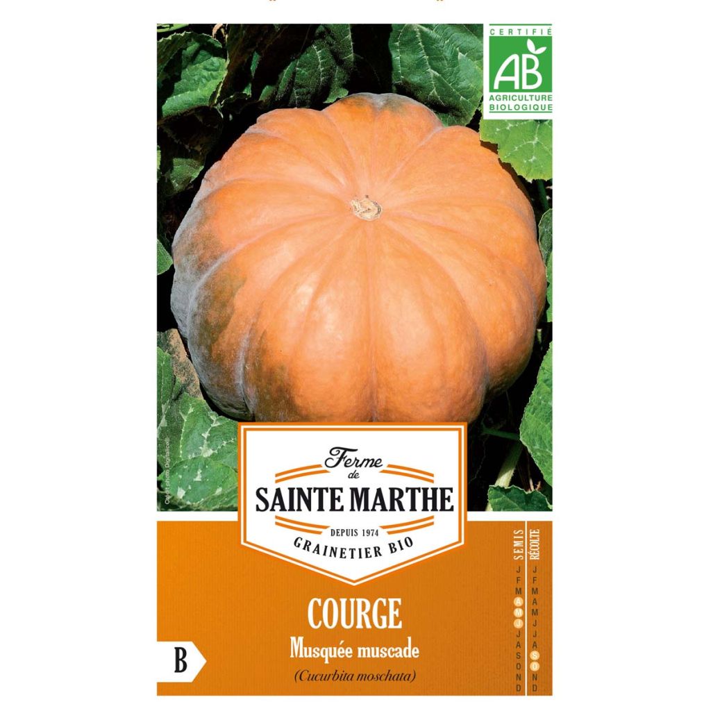 Zucca moscata Muscade Bio - Ferme de Sainte Marth