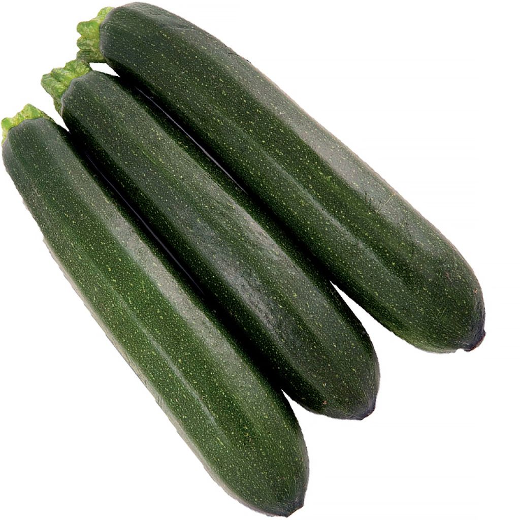 Zucchino Brillante F1