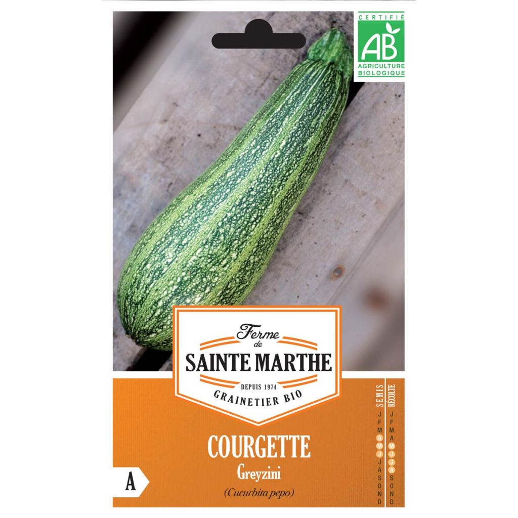 Zucchino Grisette de Provence Bio - Ferme de Sainte Marthe