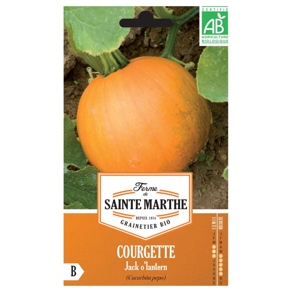 Zucca decorativa 'Jack O'Lantern' Bio - Ferme de Sainte Marthe