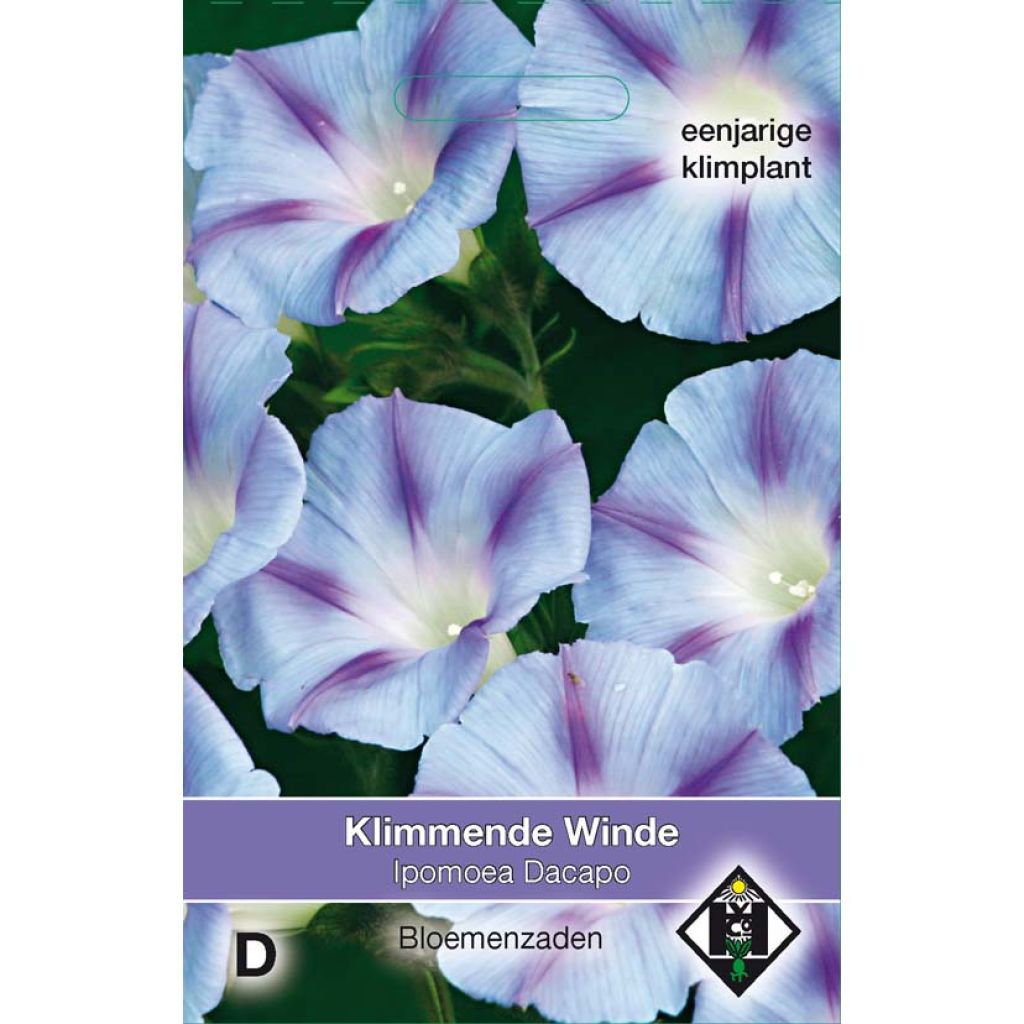 Ipomoea purpurea Dacapo Light Blue - Campanella turchina