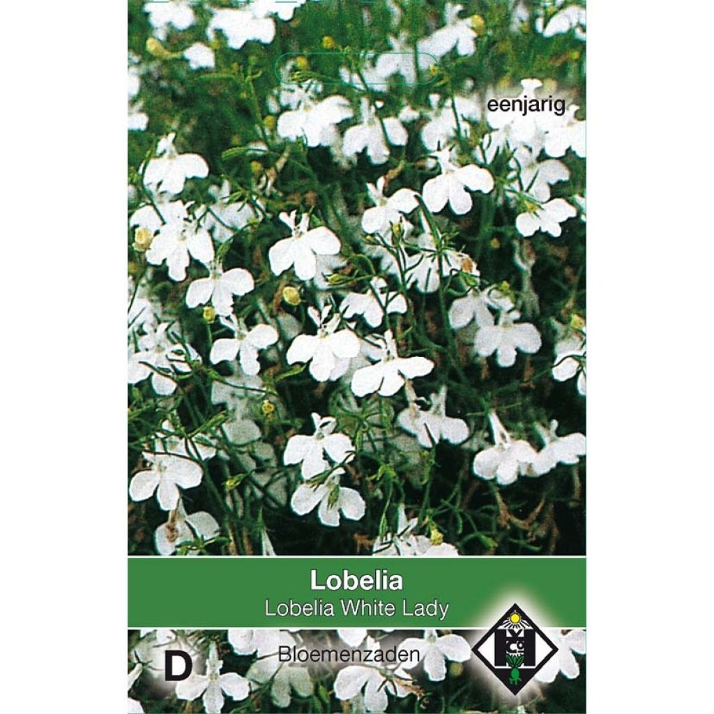 Lobelia White Lady