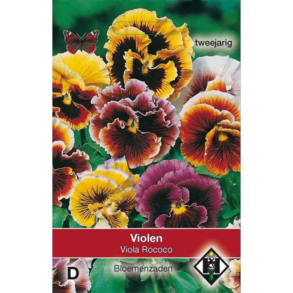 Viola Rococo