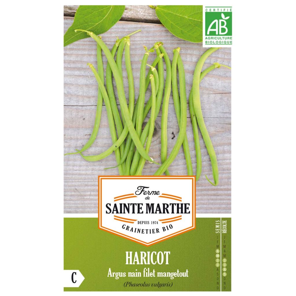 Haricot Argus nain mangetout Bio - Ferme de Sainte Marthe 