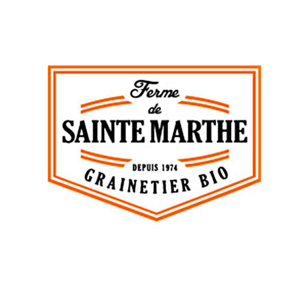 Laitue Merveille des 4 Saisons Bio - Ferme de Sainte Marthe