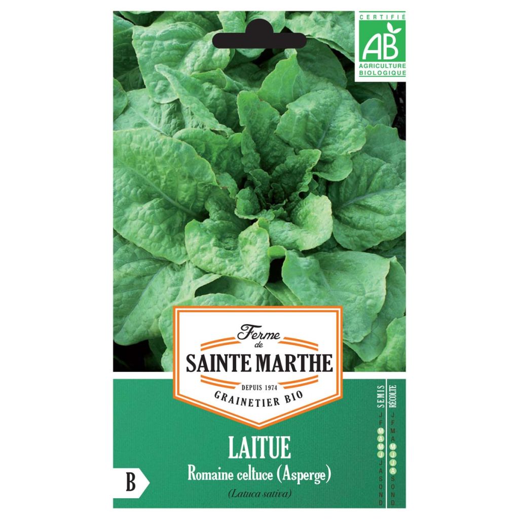 Laitue Romaine Celtuce (Asperge) Bio - Ferme de Sainte Marthe