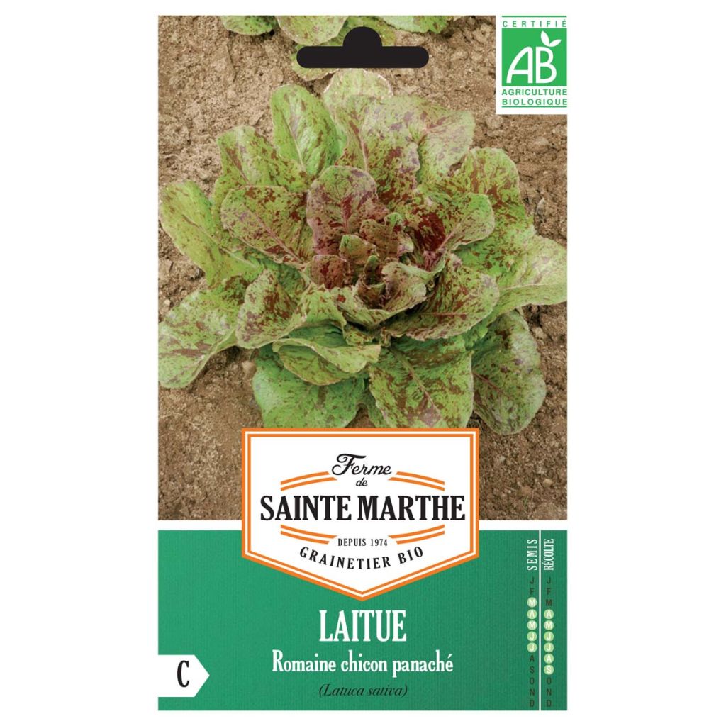 Laitue Romaine Chicon Panaché Bio - Ferme de Sainte Marthe