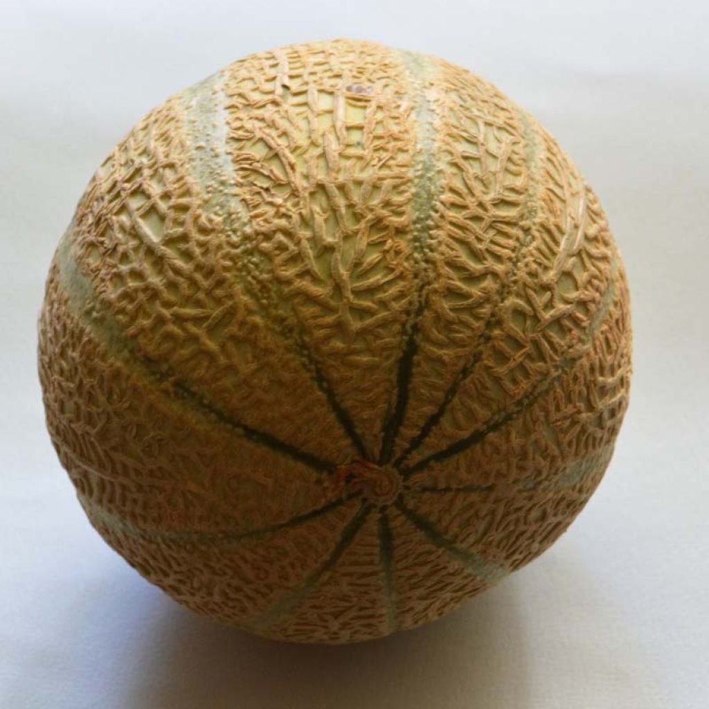 Melone Anasta F1