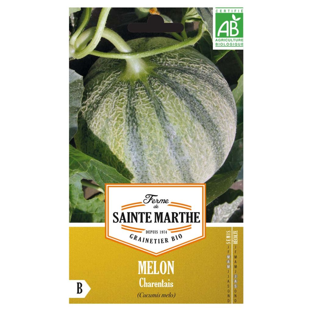 Melone Cantalupo di charentais Bio - Ferme de Sainte Marthe