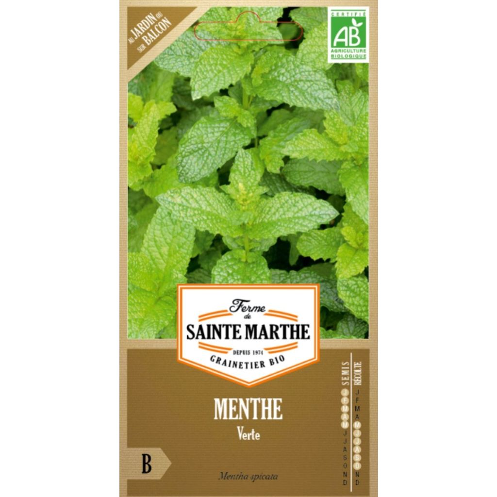 Mentastro verde Vero verde Bio - Ferme de Sainte Marthe