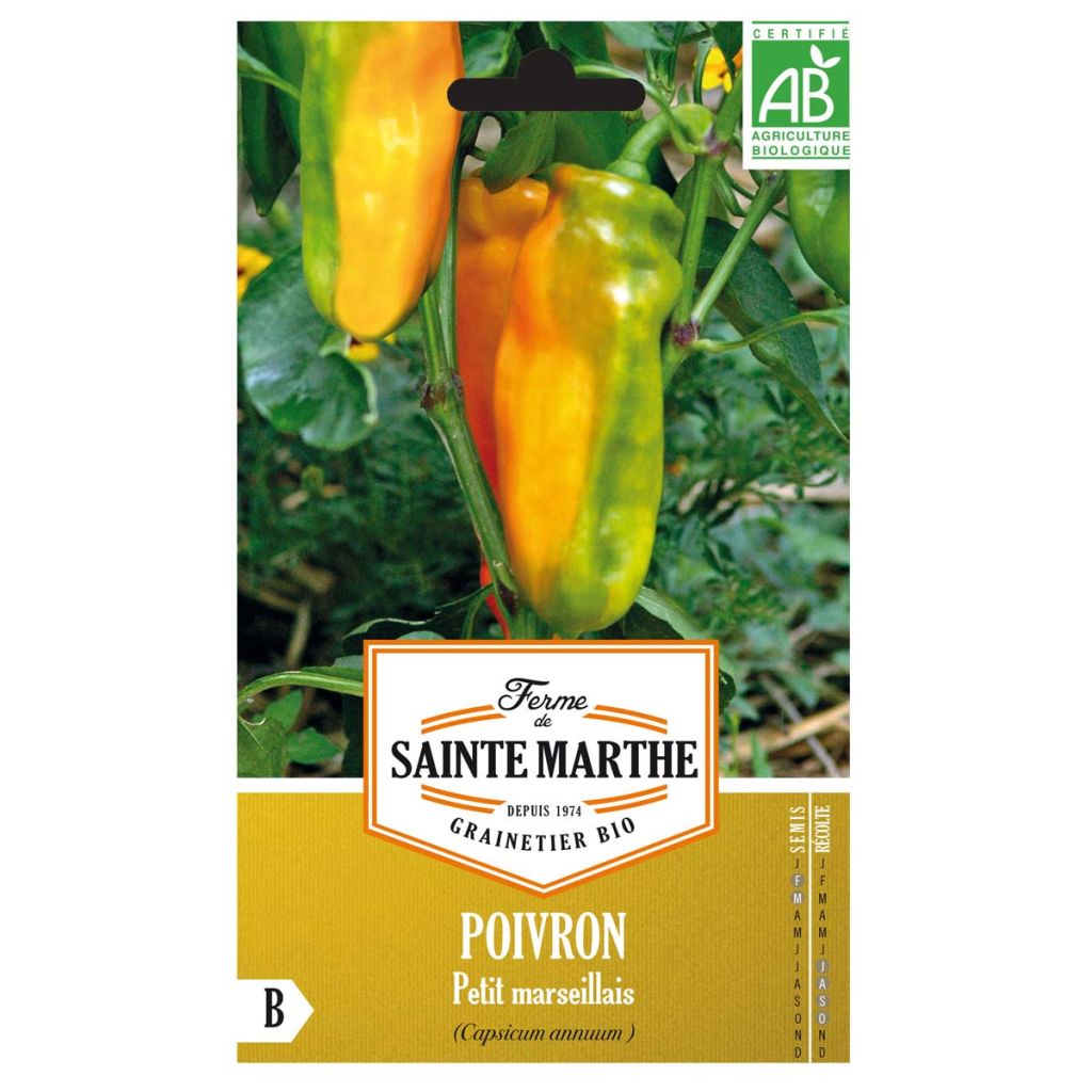 Peperone dolce Petit Marseillais Bio - Ferme de Sainte Marthe