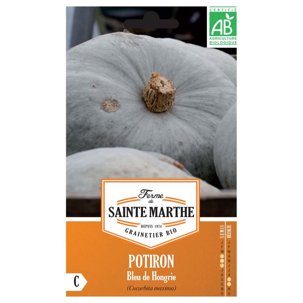 Zucca Blu d'Ungheria Bio - Ferme de Sainte Marthe