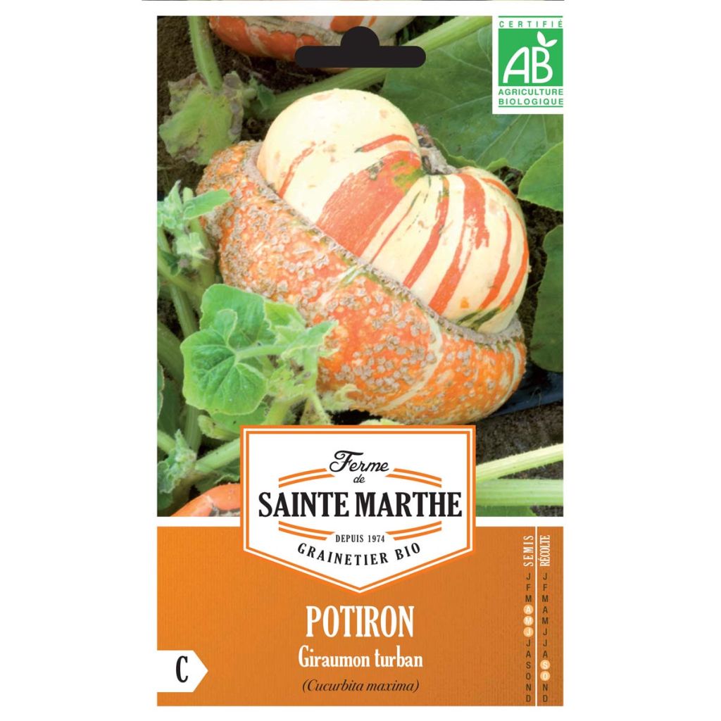 Zucca Giraumon Turban Bio - Ferme de Sainte Marthe