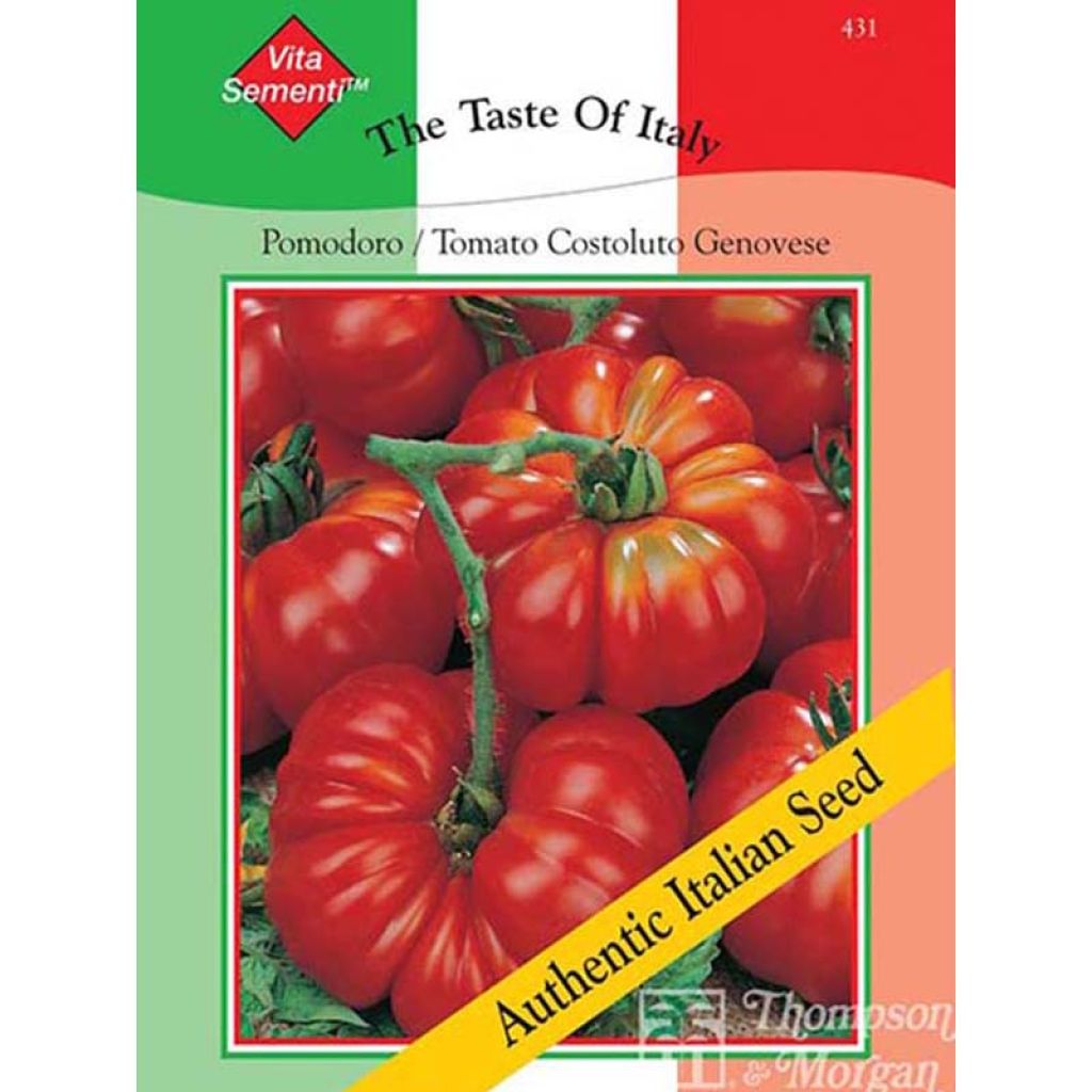 Tomate Costoluto Genovese