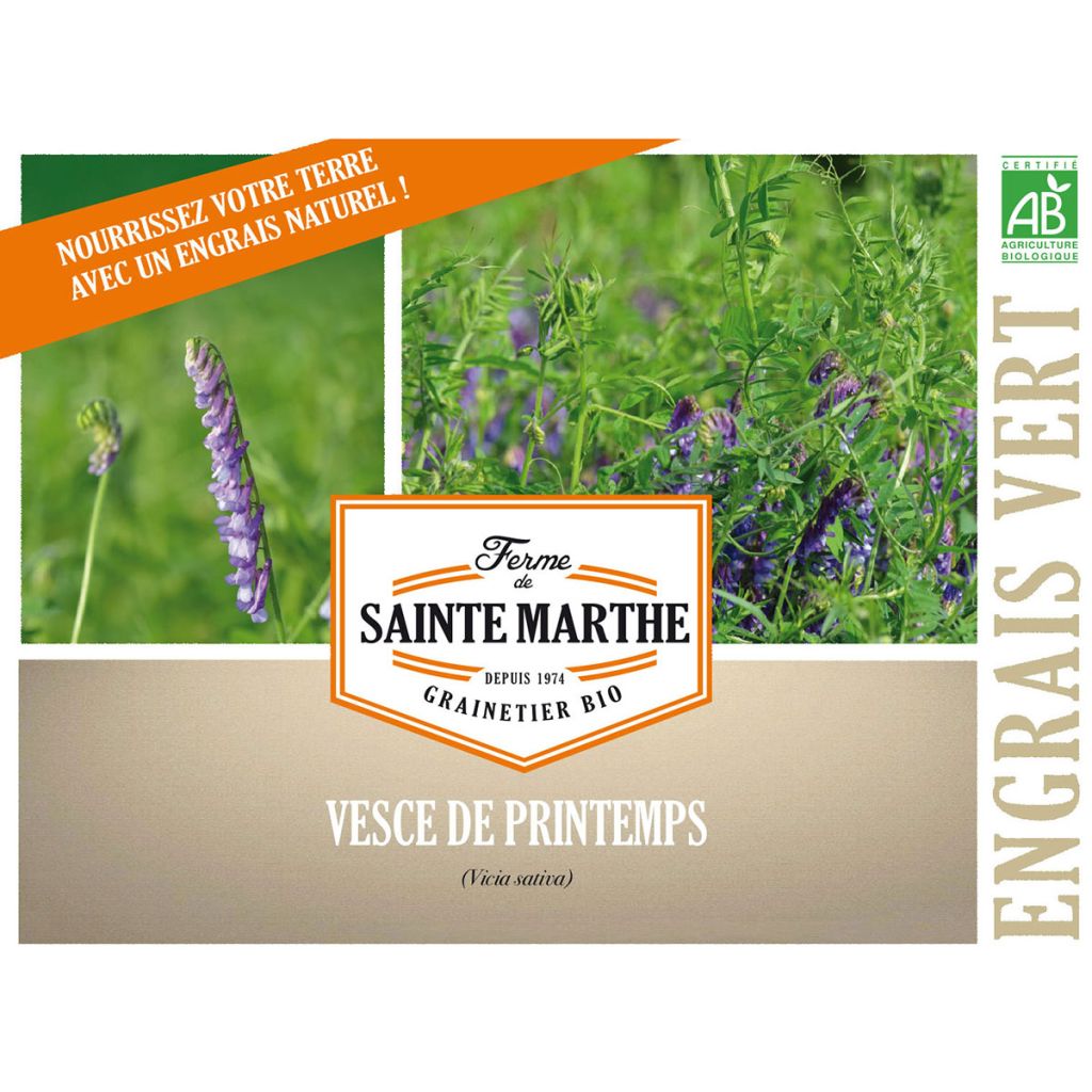 Vesce de printemps Mery AB - Ferme de Ste Marthe