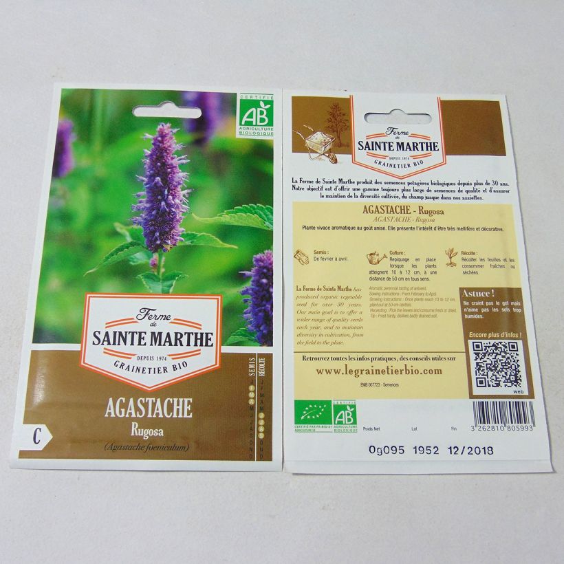 Esempio di esemplare Agastache rugosa Bio - Ferme de Sainte Marthe Graines come consegnato