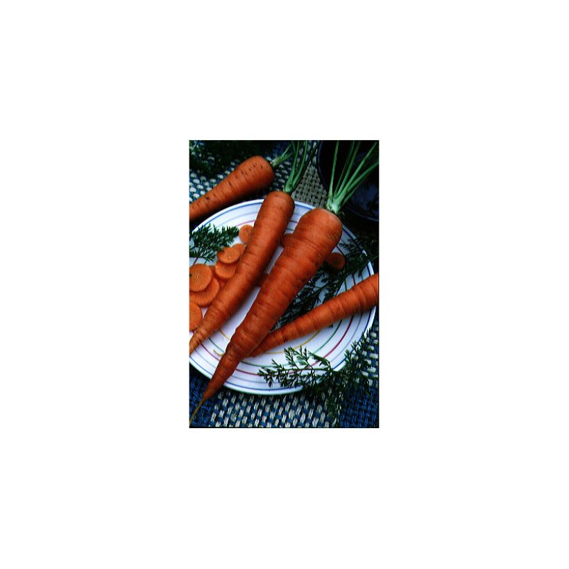 Carota Valery (Raccolta)