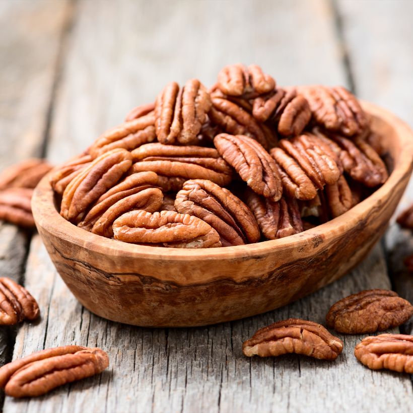 Carya illinoinensis Choctaw - Pecan (Raccolta)