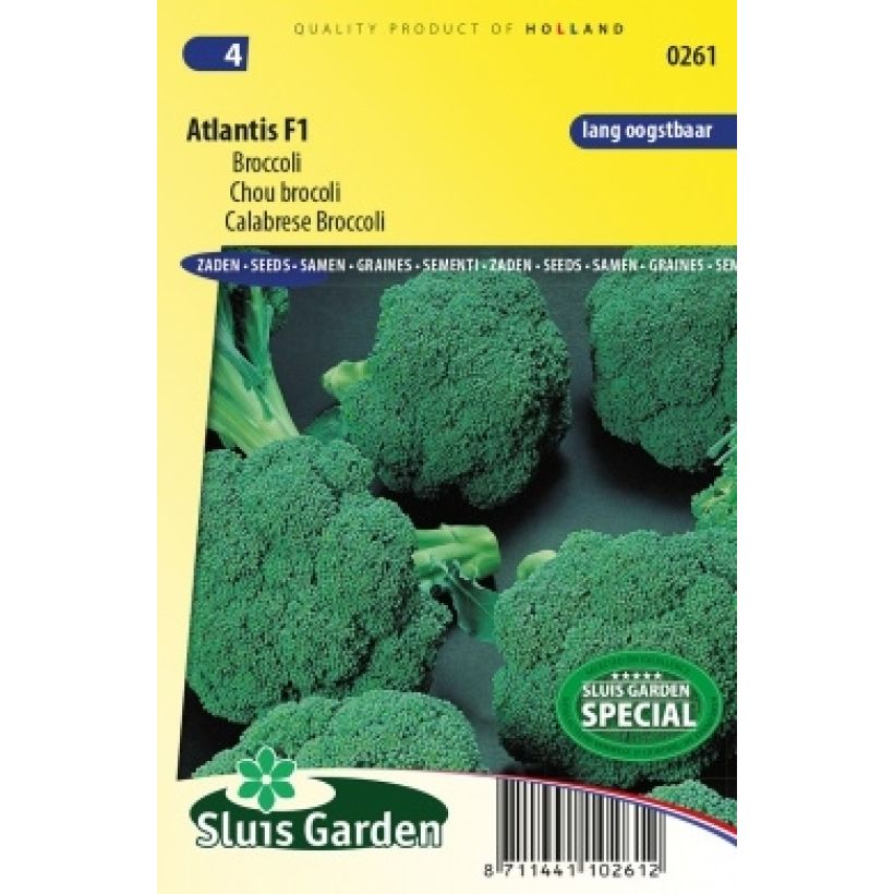 Esempio di esemplare Chou brocoli Atlantis F1 NT Graines come consegnato