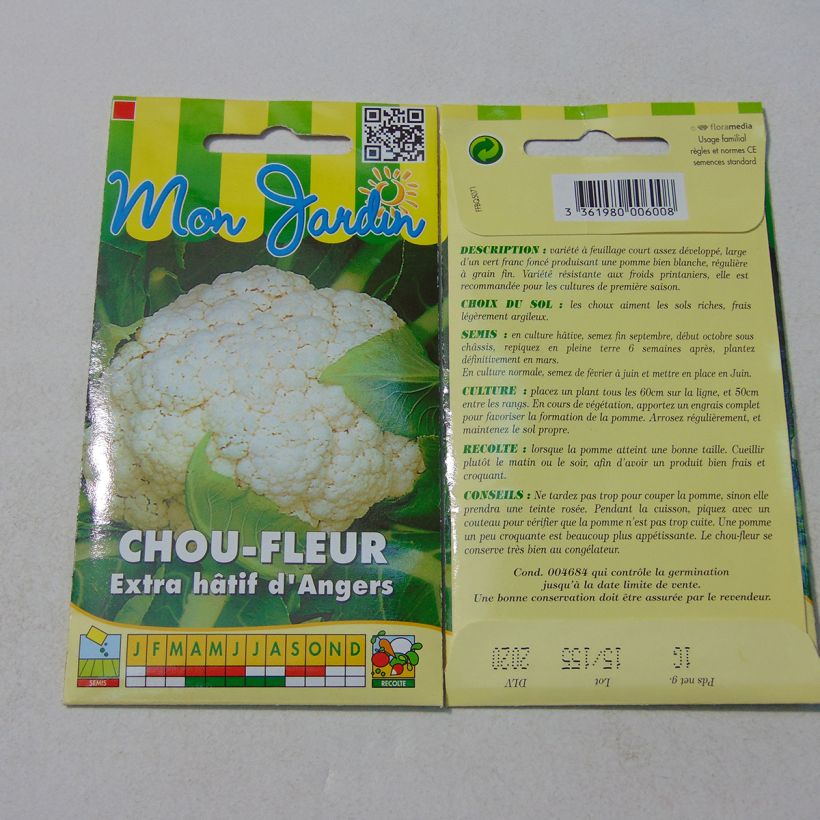 Esempio di esemplare Chou-fleur Extra-Hâtif d'Angers - Brassica oleracea Graines come consegnato