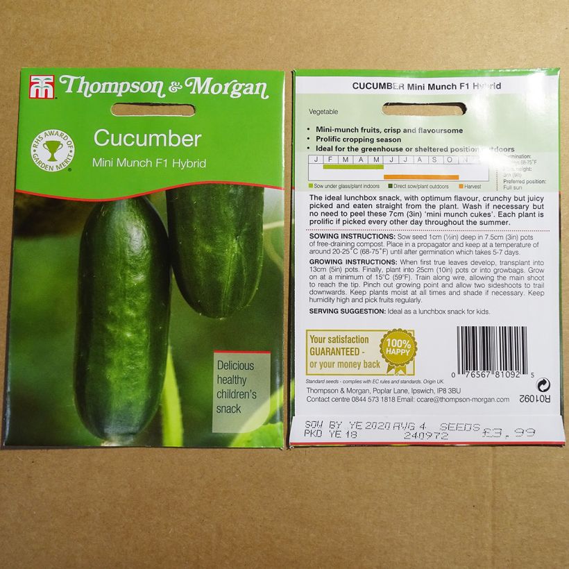 Esempio di esemplare Concombre Mini Munch - Cucumis sativus Graines come consegnato