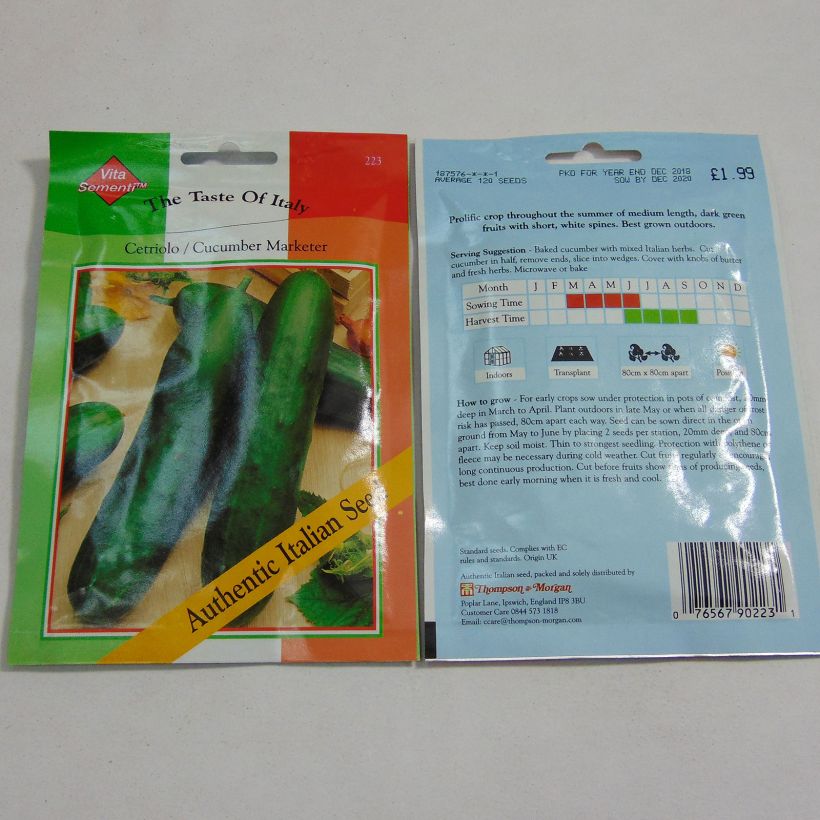 Esempio di esemplare Concombre demi-long Cetriolo Marketer - Cucumis sativus Graines come consegnato