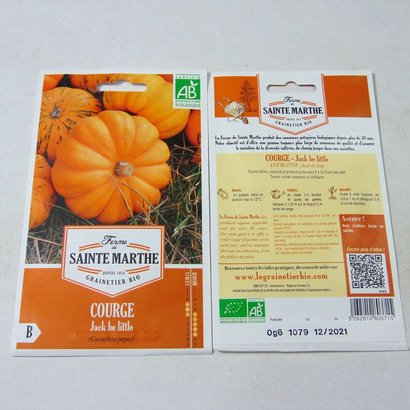 Esempio di esemplare Courge Jack Be Little Bio - Ferme de Sainte Marthe Graines come consegnato