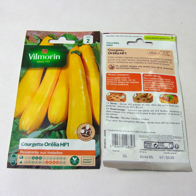 Esempio di esemplare Courgette Orelia F1 (peau jaune) - Vilmorin Graines come consegnato