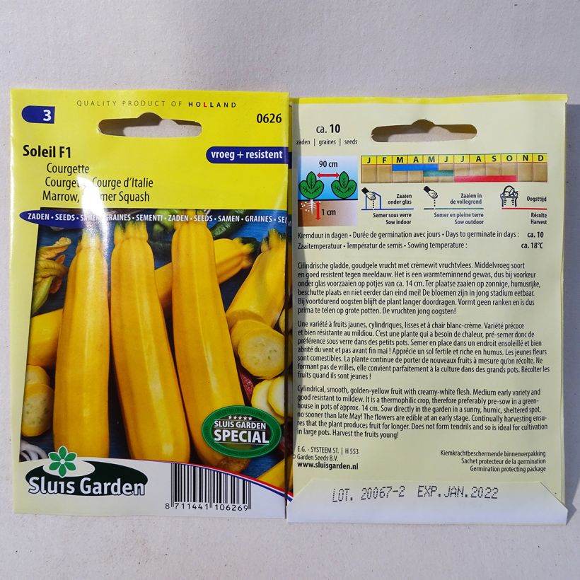 Esempio di esemplare Courgette Soleil F1 Graines come consegnato