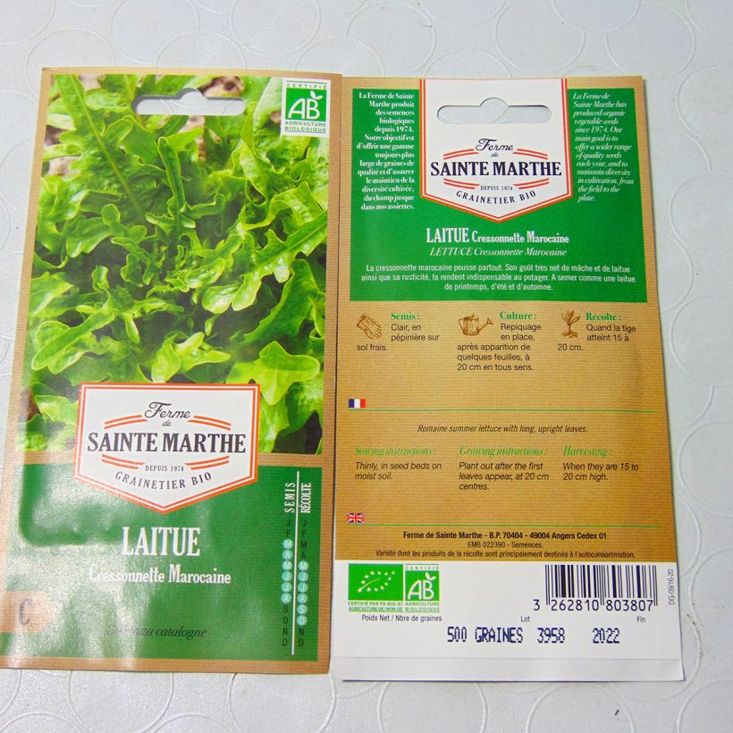 Esempio di esemplare Laitue Cressonnette Marocaine (Radichetta) Bio - Ferme de Sainte Marthe - Graines de salade à couper Graines come consegnato