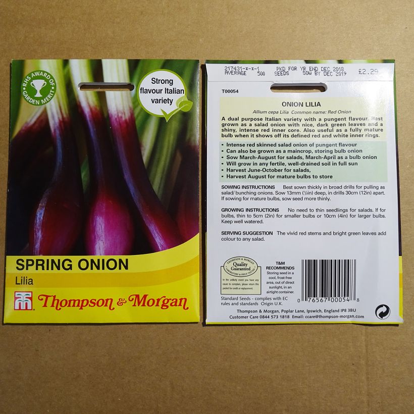 Esempio di esemplare Oignon rouge de printemps Lilia - Allium cepa Graines come consegnato