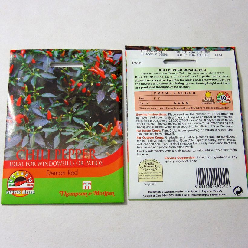 Esempio di esemplare Piment Demon Red - Capsicum annuum Graines come consegnato