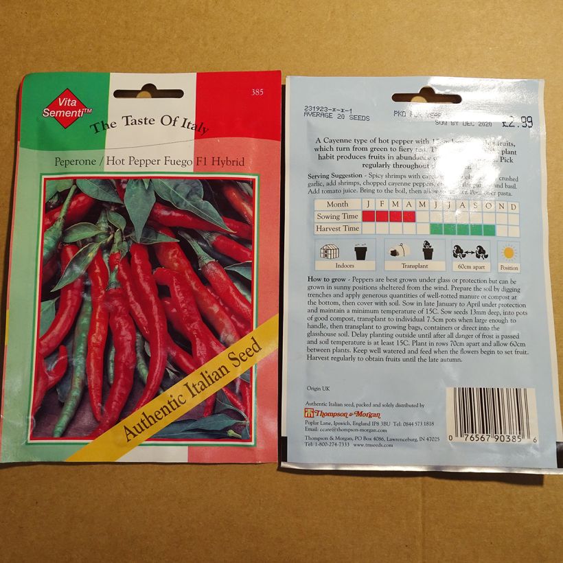 Esempio di esemplare Piment Fuego F1 - Capsicum annuum Graines come consegnato