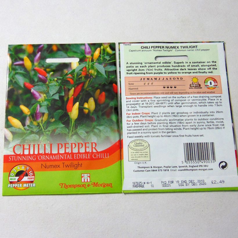 Esempio di esemplare Piment Numex Twilight - Capsicum annuum Graines come consegnato