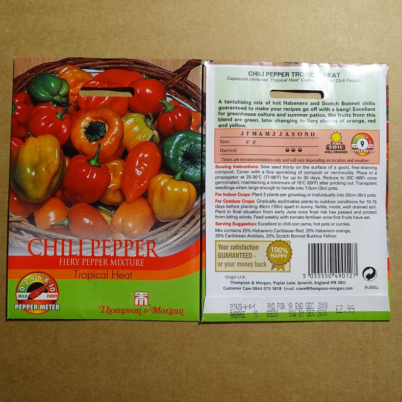 Esempio di esemplare Piment Tropical Heat - Capsicum annuum Graines come consegnato