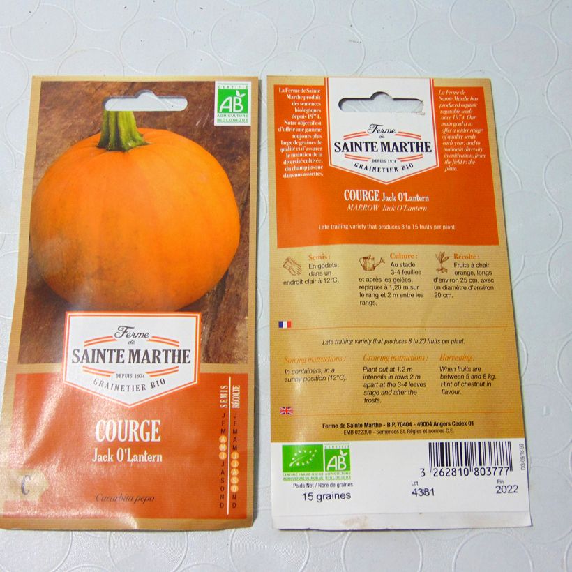 Esempio di esemplare Citrouille d'Halloween "Jack O'Lantern" Bio - Ferme de Sainte Marthe Graines come consegnato