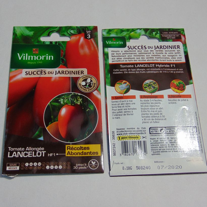 Esempio di esemplare Tomate Lancelot F1 - Vilmorin Graines come consegnato