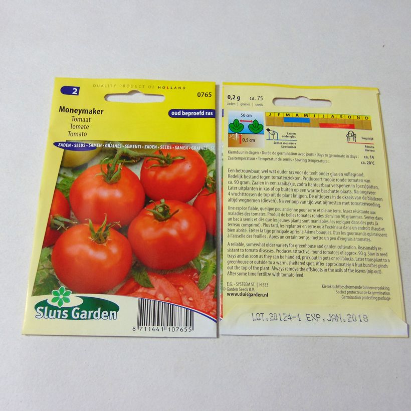 Esempio di esemplare Tomate Moneymaker - Solanum lycopersicum  Graines come consegnato