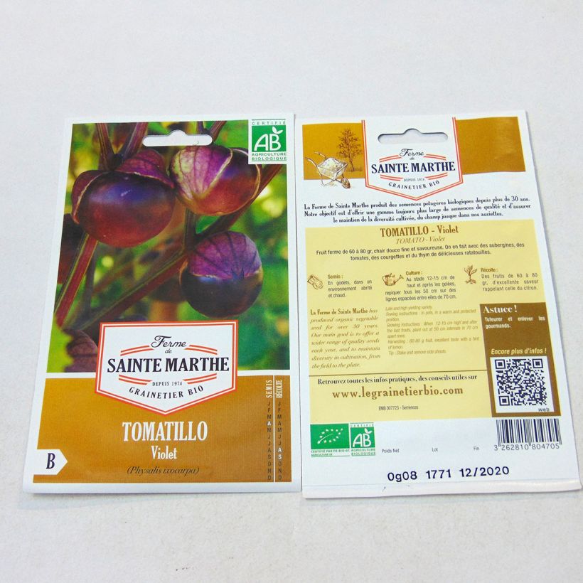 Esempio di esemplare Tomatillo Violet Bio - Ferme de Sainte Marthe Graines come consegnato